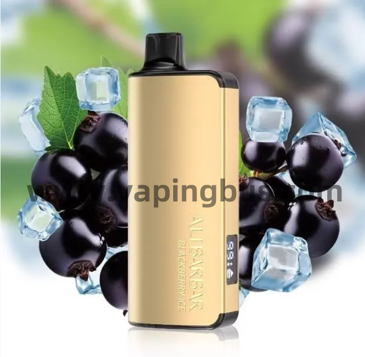 Alibarbar 9000 Puffs-Blackberry Ice