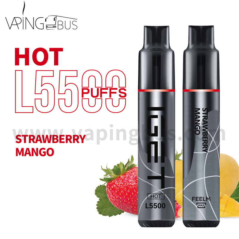 IGET Hot Disposable Vape 5500 Puffs