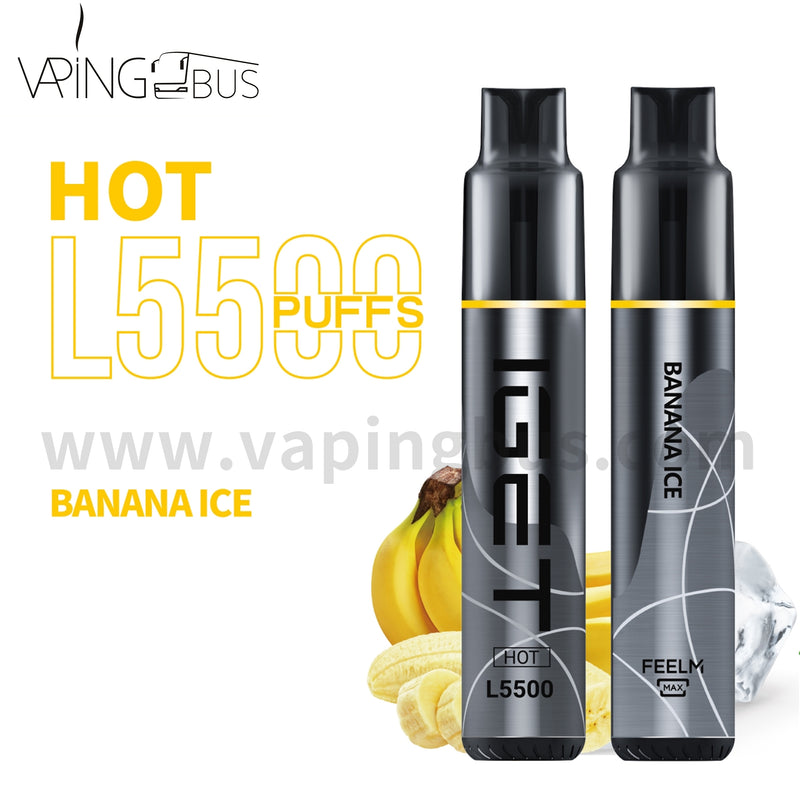 IGET Hot Disposable Vape 5500 Puffs