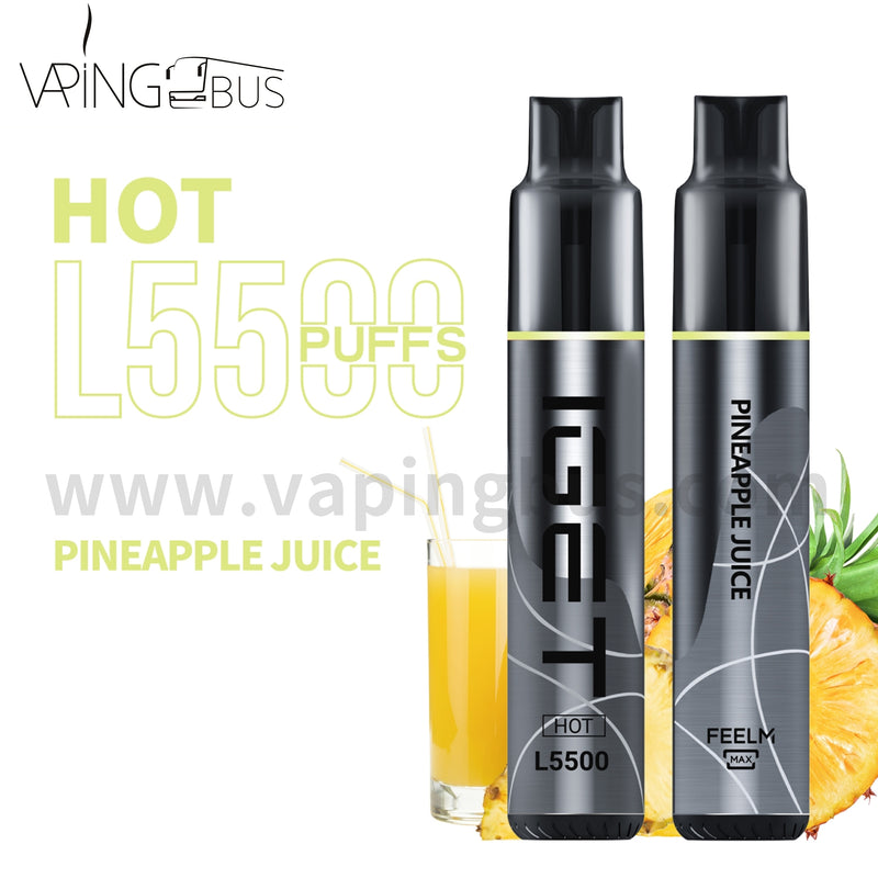 IGET Hot Disposable Vape 5500 Puffs