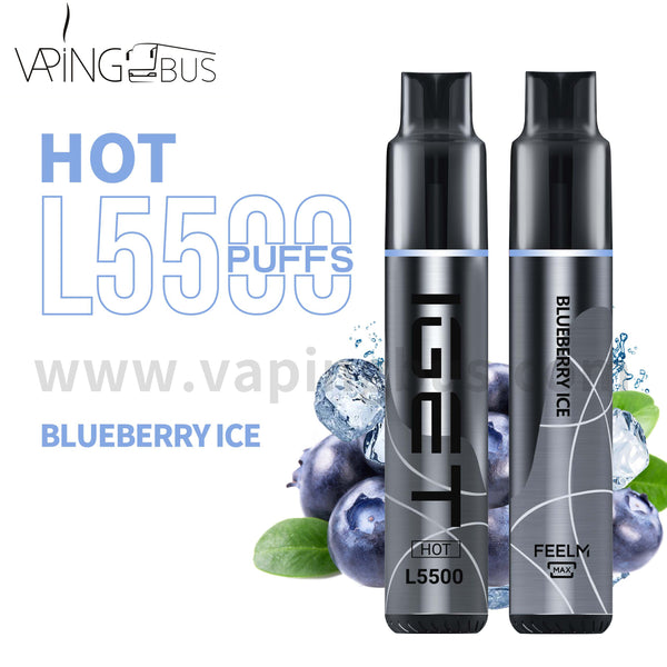 IGET Hot Disposable Vape 5500 Puffs - Blueberry Ice