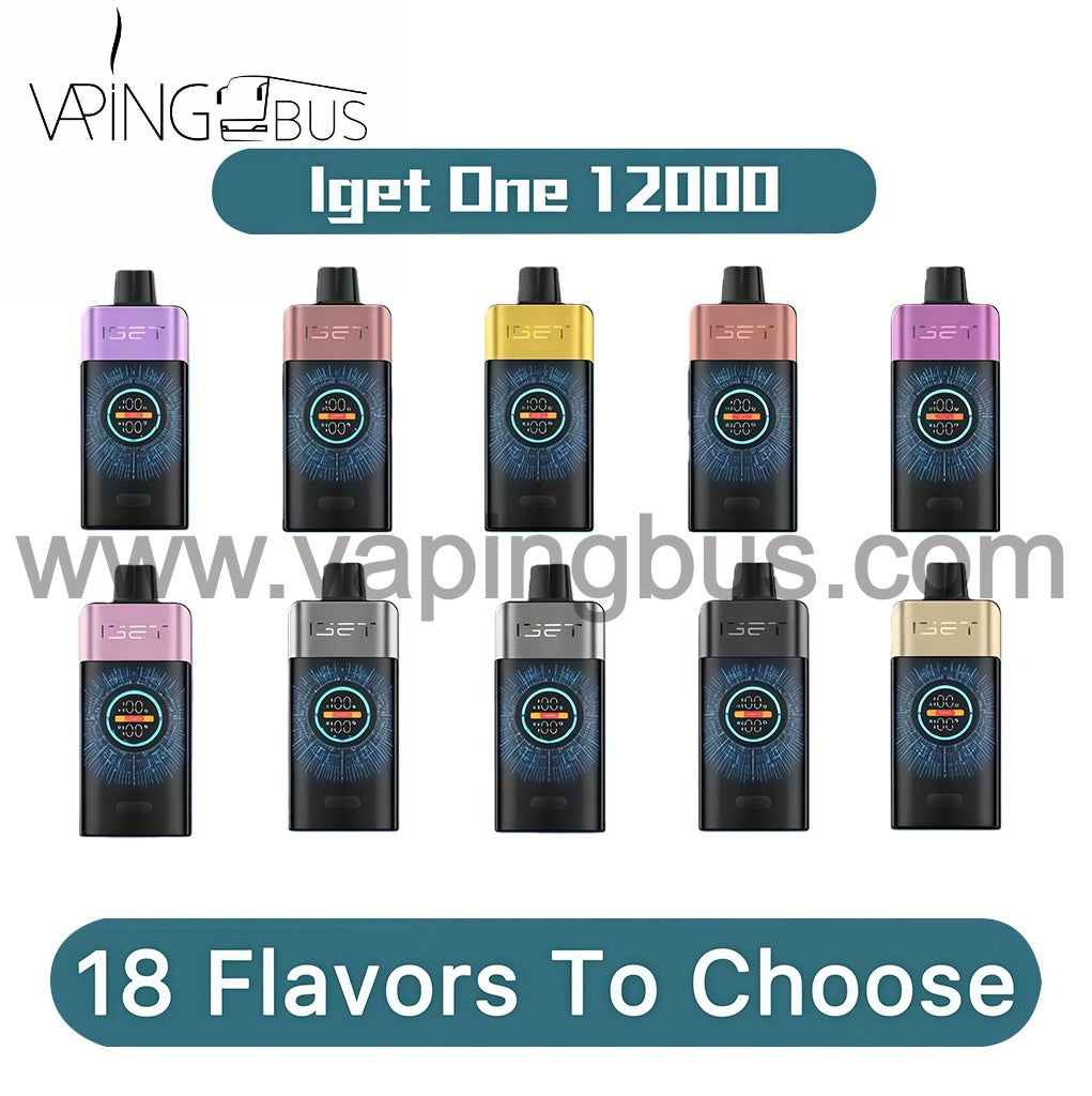 10 x Iget One 12000 Puffs Bundle