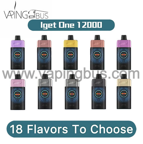 10 x Iget One 12000 Puffs Bundle