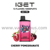 Iget Bar Pro Disposal Vape 10000 Puffs