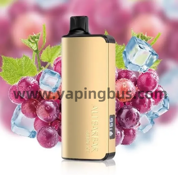 Alibarbar 9000 Puffs-Grape Ice