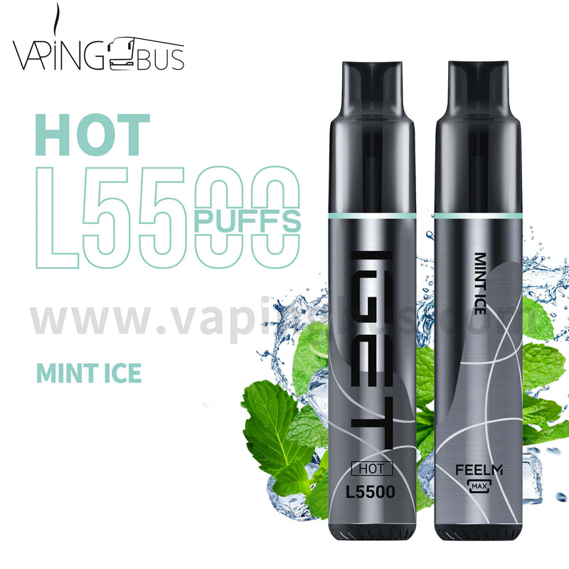 IGET Hot Disposable Vape 5500 Puffs - Mint Ice
