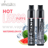 IGET Hot Disposable Vape 5500 Puffs