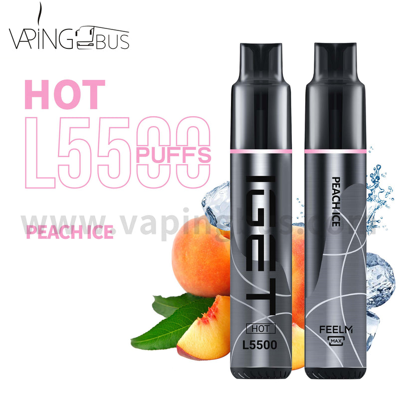 IGET Hot Disposable Vape 5500 Puffs - Peach Ice