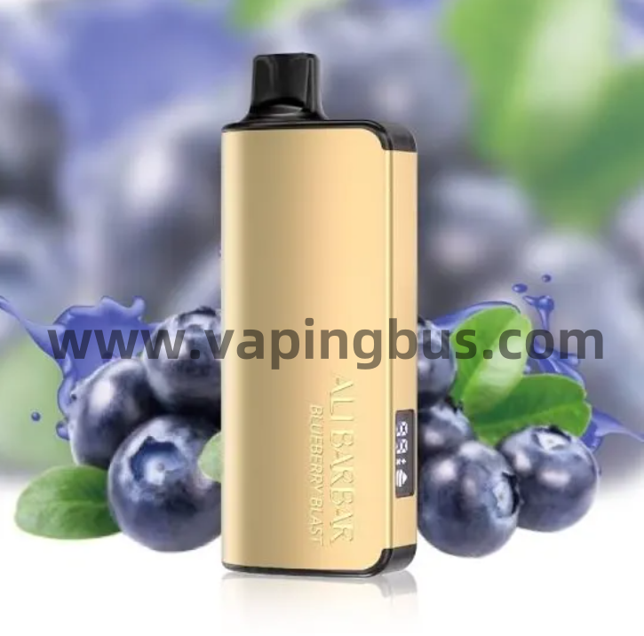 Alibarbar 9000 Puffs-Blueberry Blast