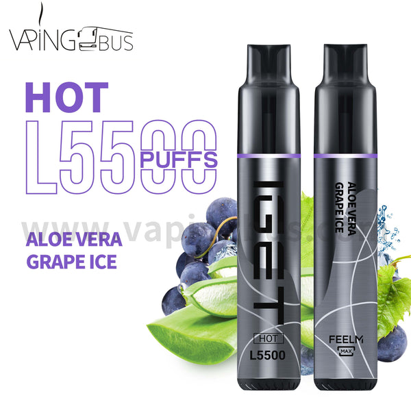 IGET Hot Disposable Vape 5500 Puffs - Aloe Vera Grape Ice