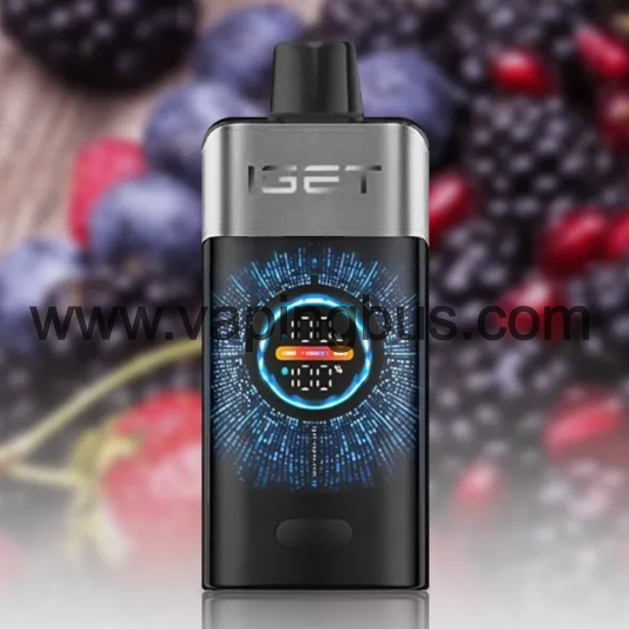 Iget One 12000 Puffs-Blackberry Cherry Pomegranate