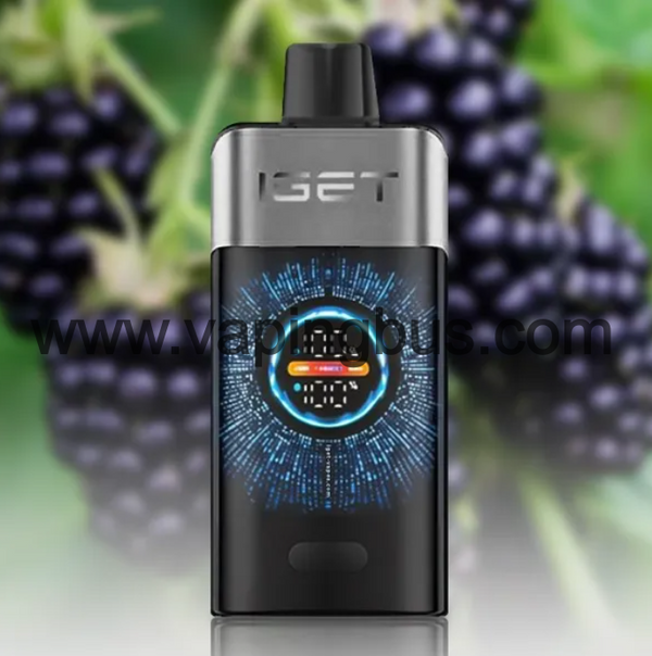 Iget One 12000 Puffs-Blackberry Ice