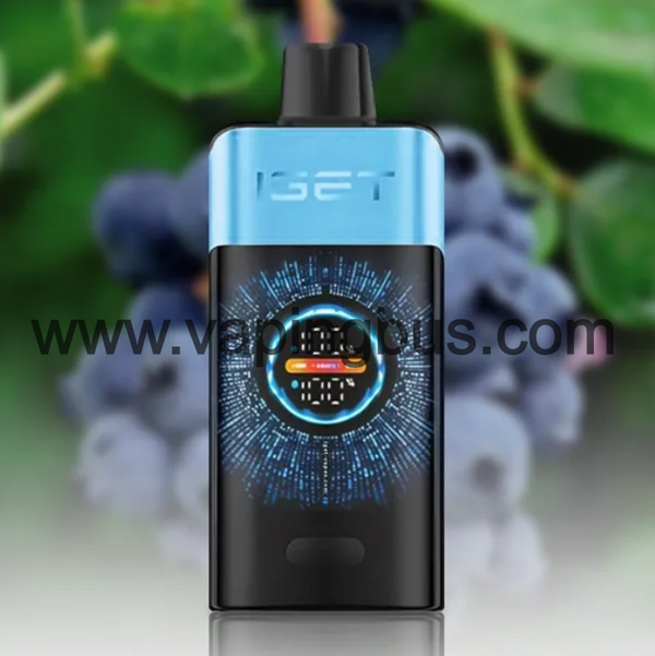 Iget One 12000 Puffs-Blueberry Ice