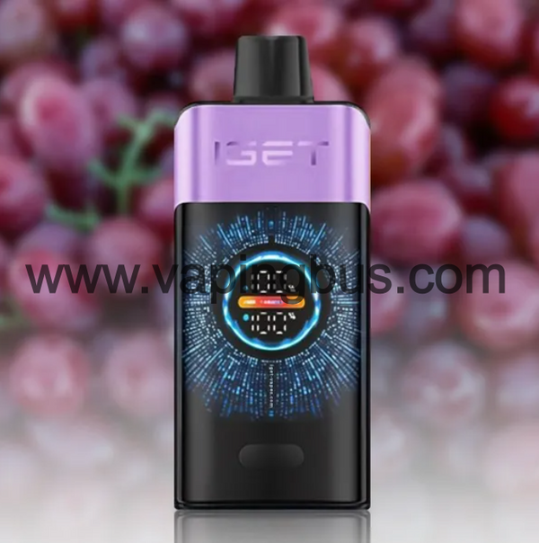 Iget One 12000 Puffs-Grape Ice