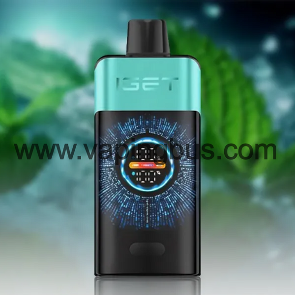 Iget One 12000 Puffs-Mountain Spring Mint Ice