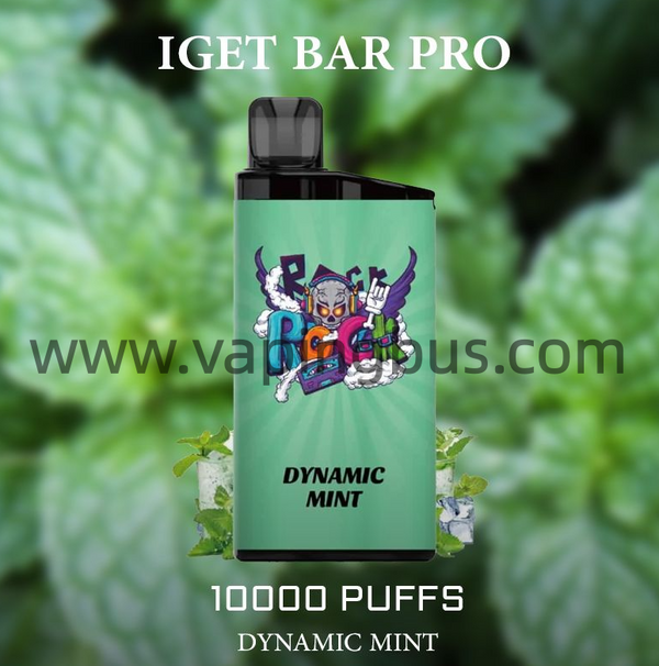 IGET Bar Pro Disposable Vape 10000 Puffs - Dynamic Mint