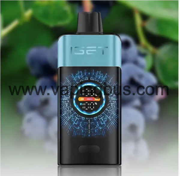 Iget One 12000 Puffs-Blueberry Raspberry