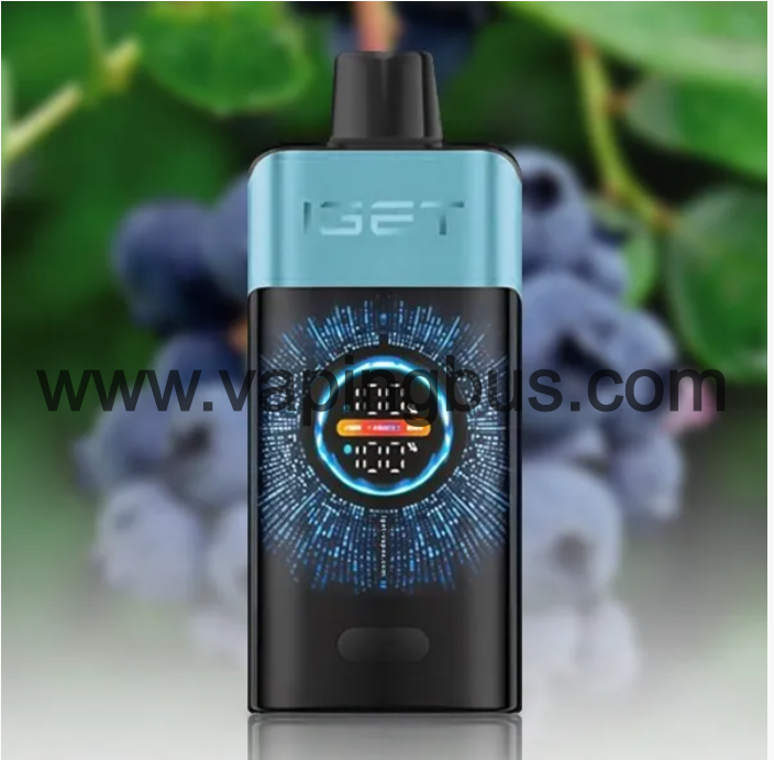 Iget One 12000 Puffs-Blueberry Raspberry