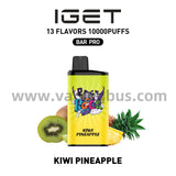 Iget Bar Pro Disposal Vape 10000 Puffs