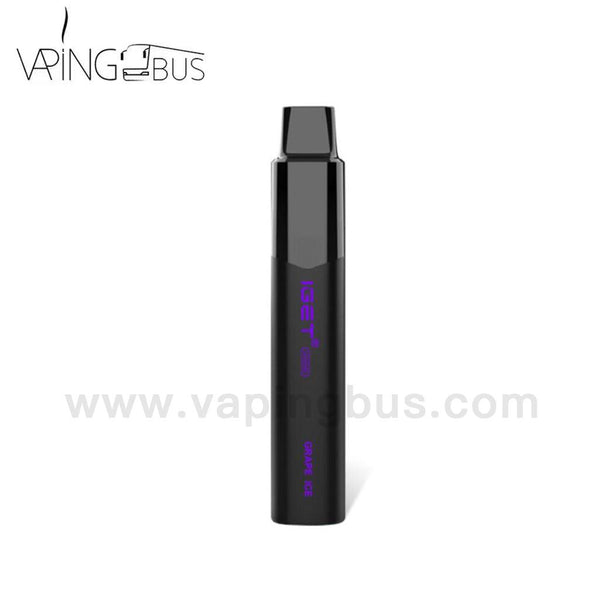 IGET Legend Disposable Vape 4000 Puffs - Grape Ice - Vapingbus